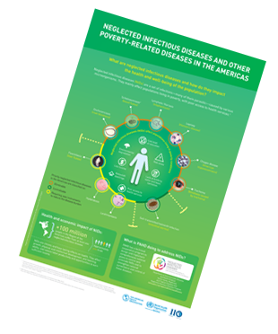 Neglected Diseases Infographic