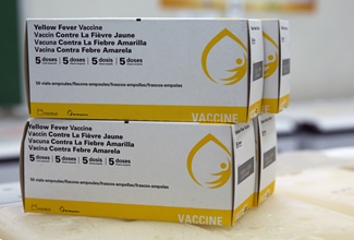 febre amarela vacina caixas