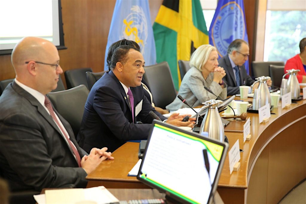 Health Minister of Jamaica outlines priority health concerns