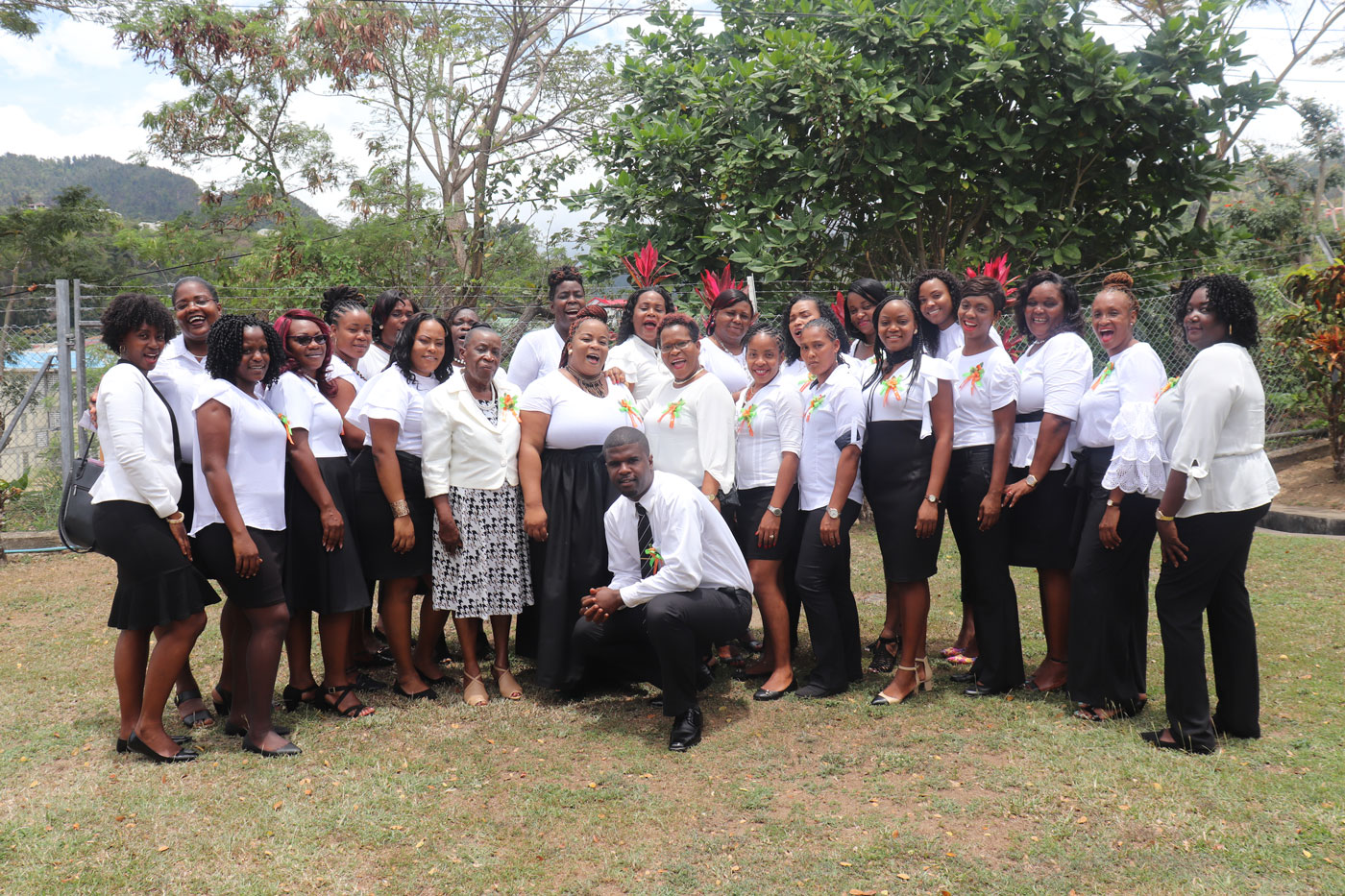 Cadre of new community health workers
