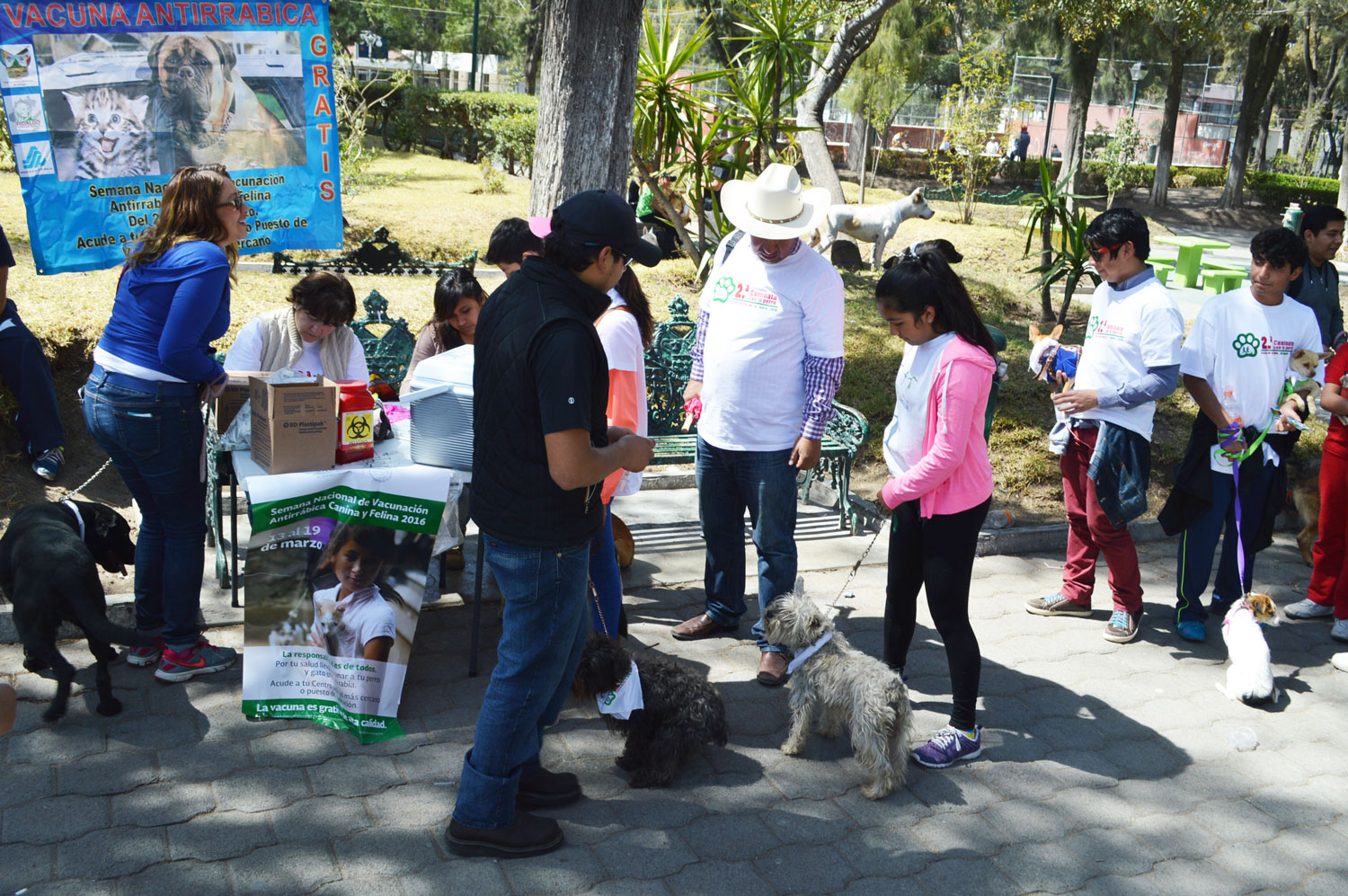 vacunación masiva y gratuita en México