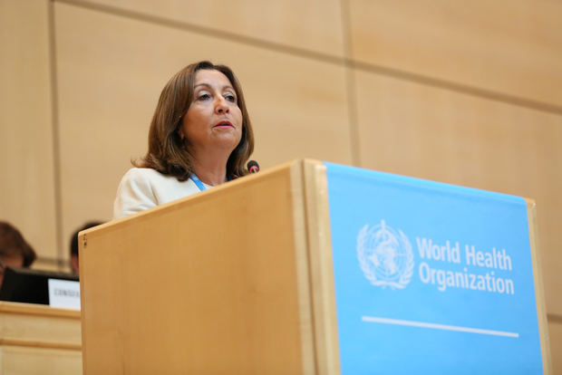 Subsecretaria de Redes Asistenciales de Chile, Gisela Alarcón