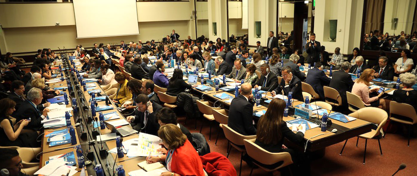 Delegaciones de las Américas en la 72a Asamblea Mundial de Salud