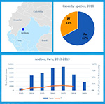 13 2019 malaria profiles americas peru andoas 150