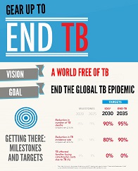 end tb strategy infographic 2015 th