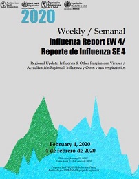 influenza report cover 2020