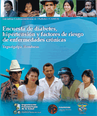 CAMDI survey Honduras