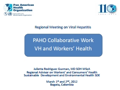 PAHO Collaborative Work VH and workers' health; 2012