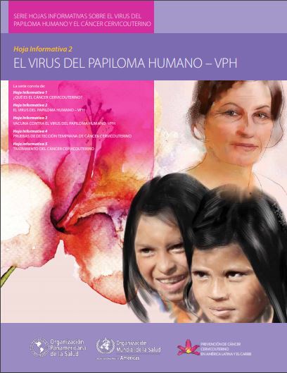 Hoja informativa 2 El virus del papiloma humano VPH