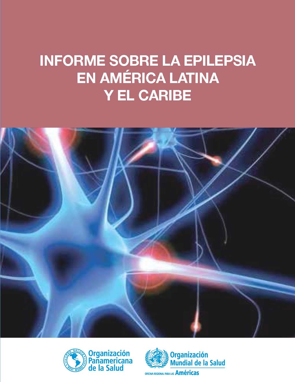 Informe sobre la Epilepsia en América Latina y el Caribe, Washington, DC, 2013 
