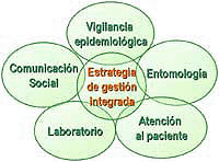 Estrategia de gestión intgrada (EGI) dengue