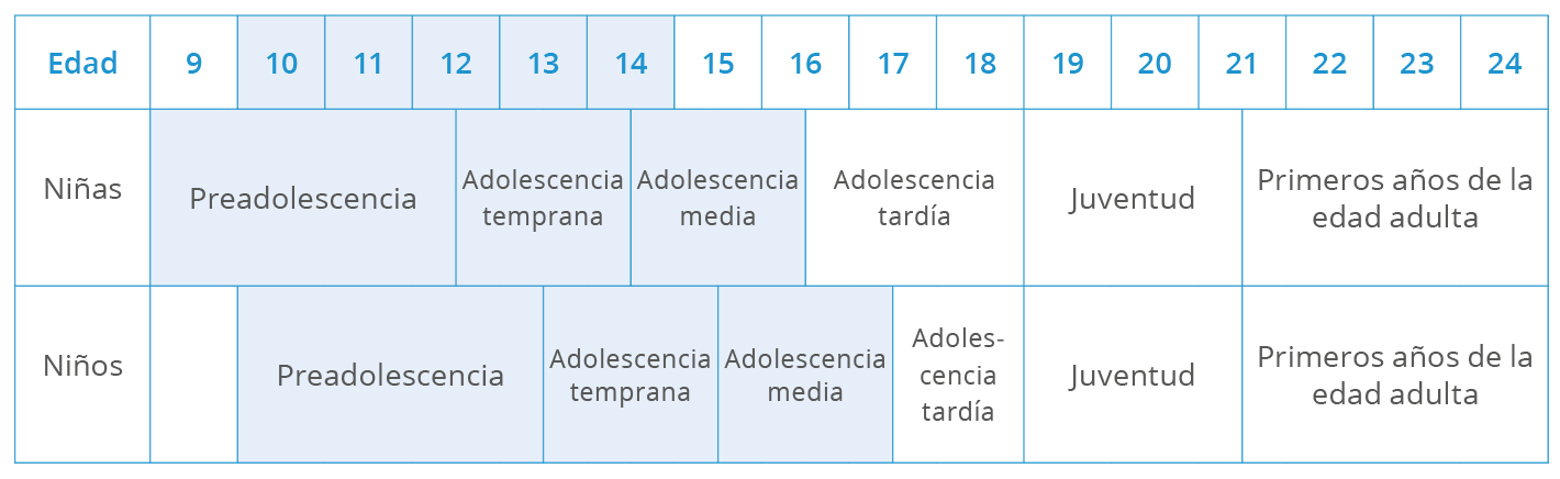 Etapas de la adolescencia (clasificación de la OPS)