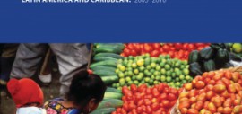 Regional Initiative Health Information Systems Strengthening Latin America and Caribbean: 2005-2010